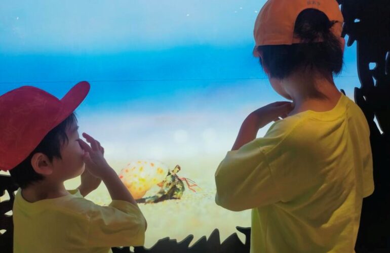 首里散歩 Vol.399 水納島で出会ったおともだち