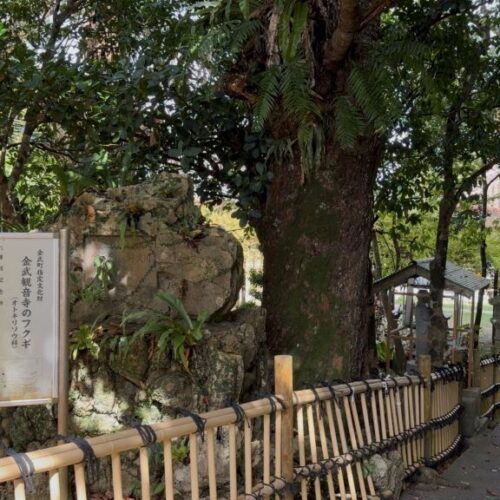 首里散歩 Vol.403 感性と巡り合わせ