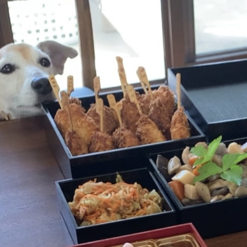 首里散歩 Vol.419 おせちとオードブル