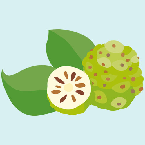 Vol.44 世界の秘密