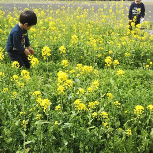 首里散歩 Vol.433 別れを想う