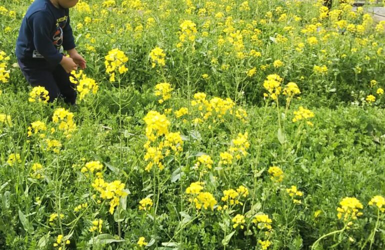 首里散歩 Vol.433 別れを想う