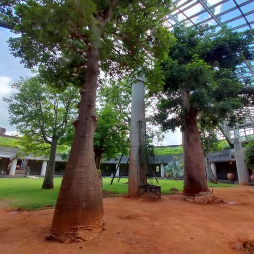 首里散歩 Vol.432 歩幅を合わせて