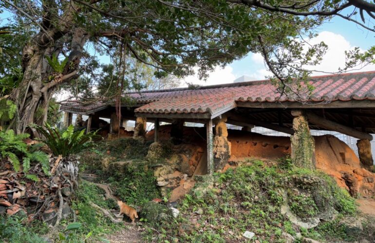 首里散歩 Vol.436 土の色