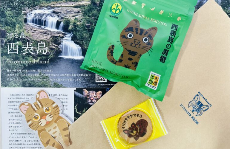 首里散歩 Vol.441 犬派か、猫派か