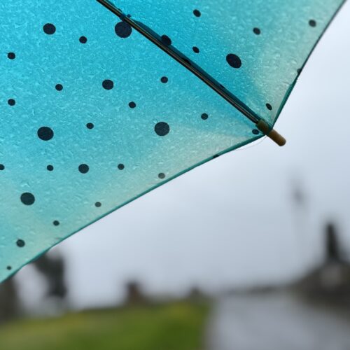 首里散歩 Vol.450 雨の日こそ沖縄